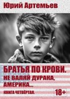 Книга Не валяй дурака, Америка… (СИ)